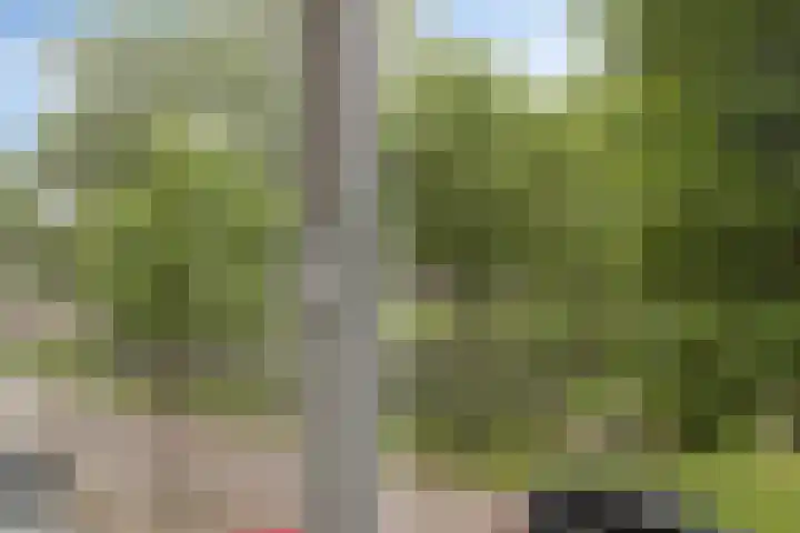 Lepelaarsingel 60 A Rotterdam thumbnail 9