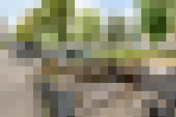 Lepelaarsingel 64 B Rotterdam thumbnail 5