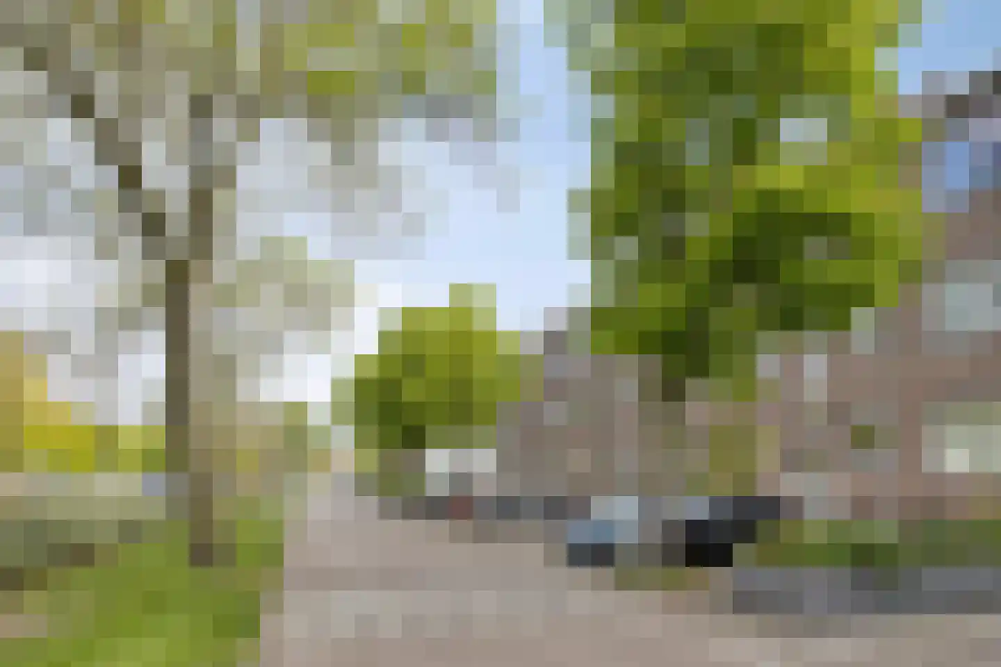 Lepelaarsingel 66 A Rotterdam thumbnail 4