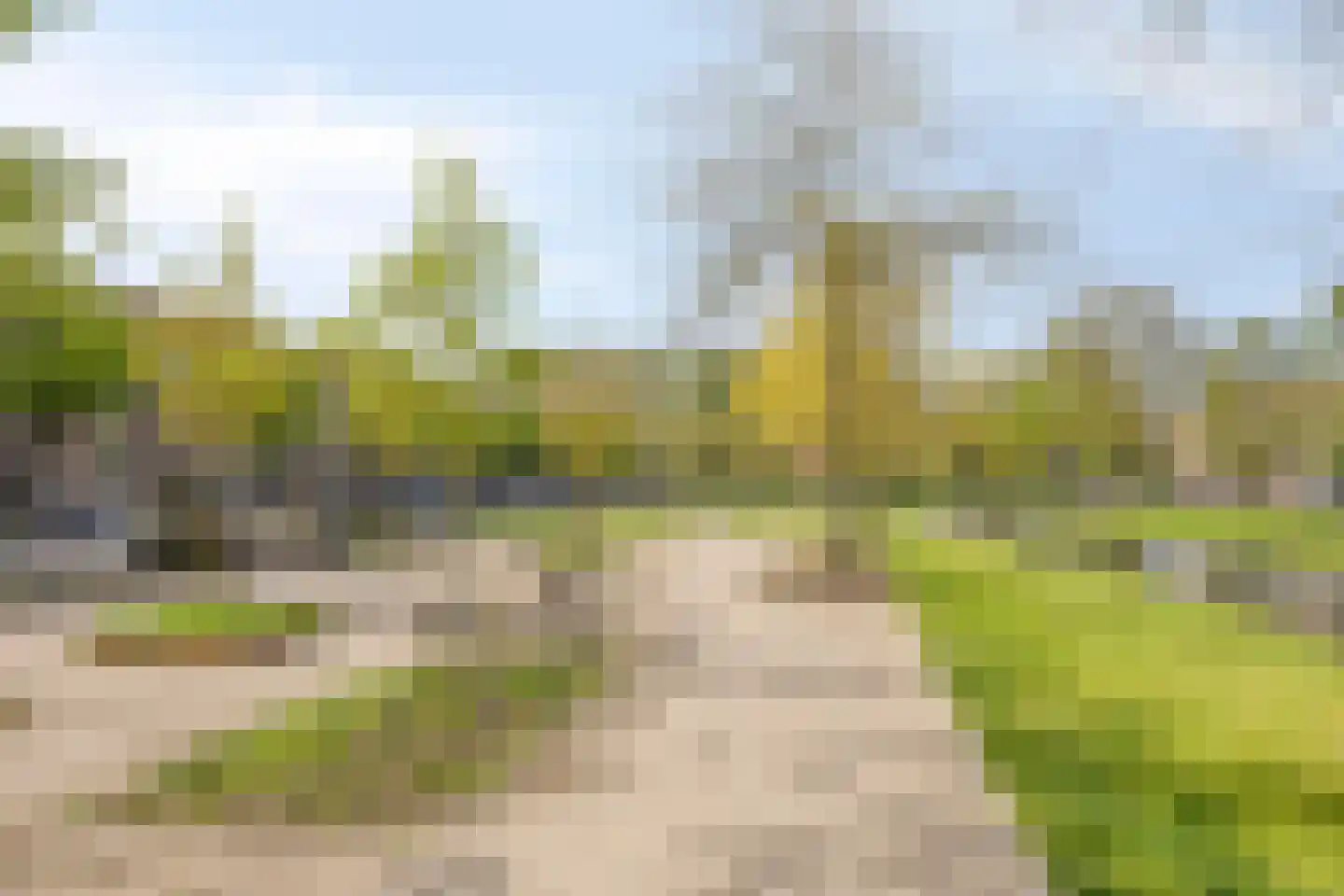 Lepelaarsingel 66 A Rotterdam thumbnail 7