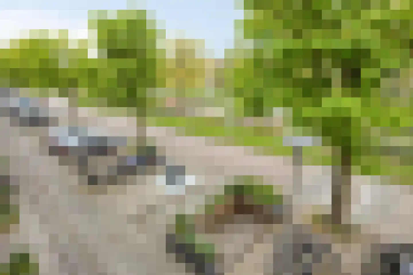 Lepelaarsingel 66 A Rotterdam thumbnail 8