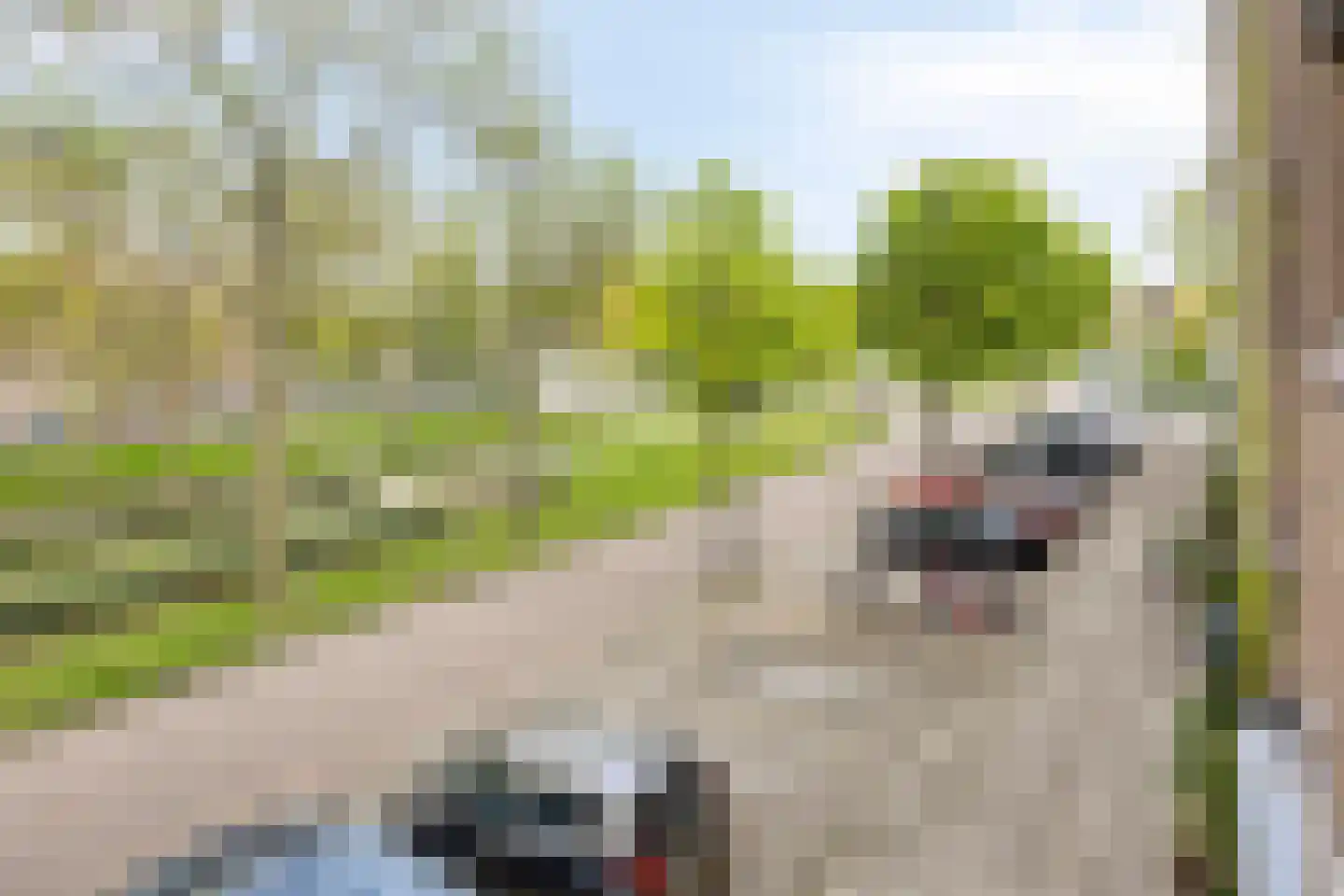 Lepelaarsingel 66 A Rotterdam thumbnail 9