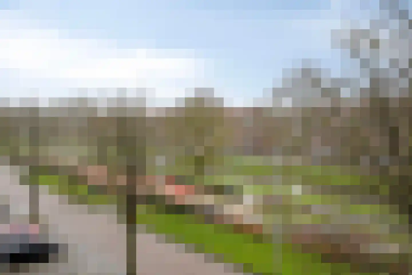 Lepelaarsingel 66 C Rotterdam thumbnail 17