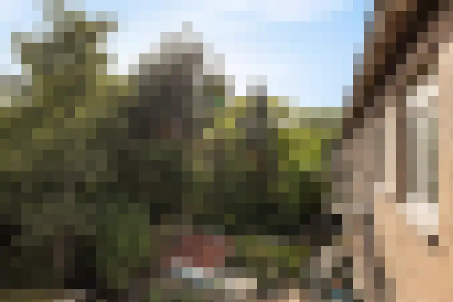 Lepelaarsingel 94 C Rotterdam thumbnail 18