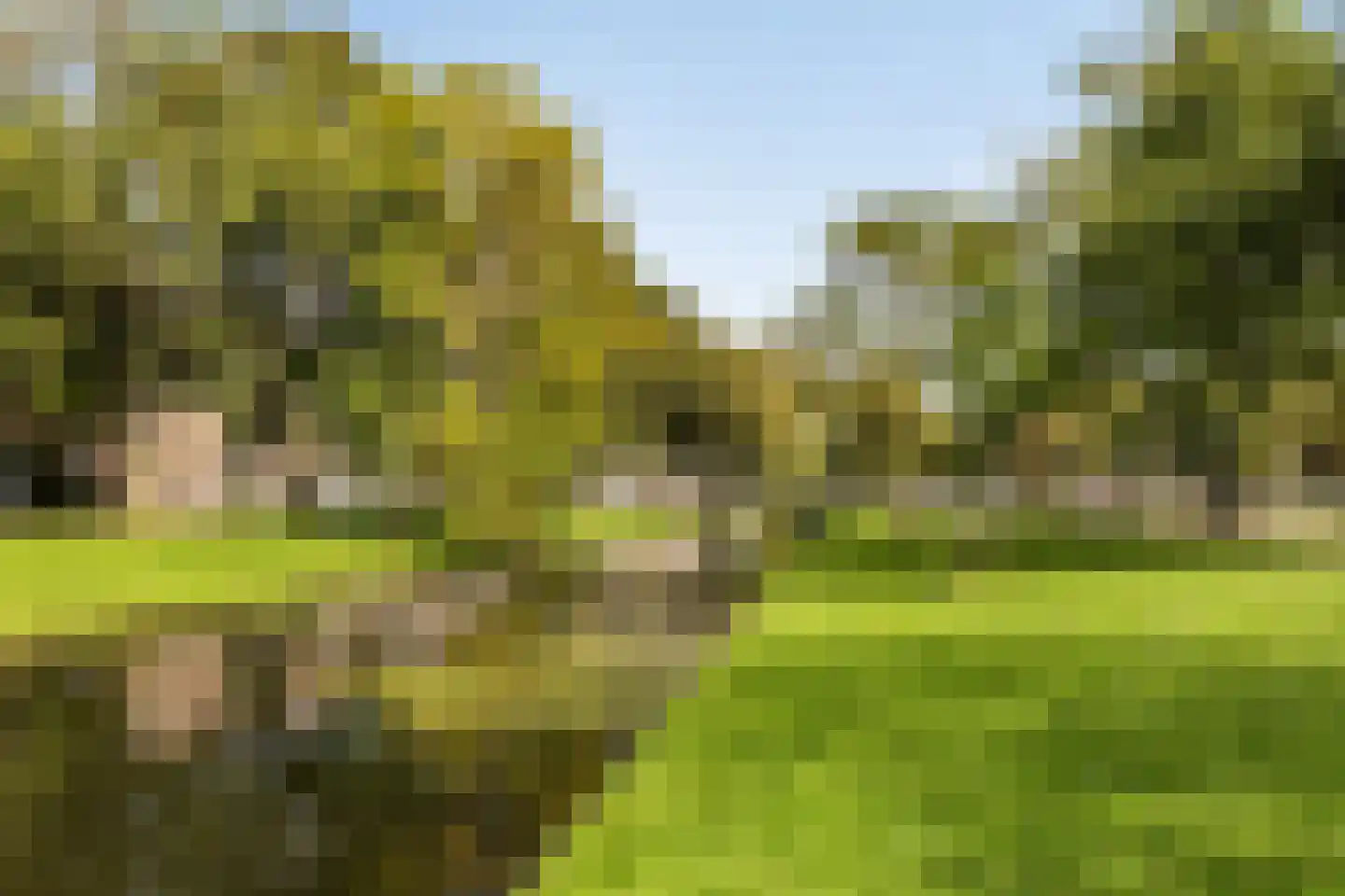 Lepelaarsingel 94 C Rotterdam thumbnail 32