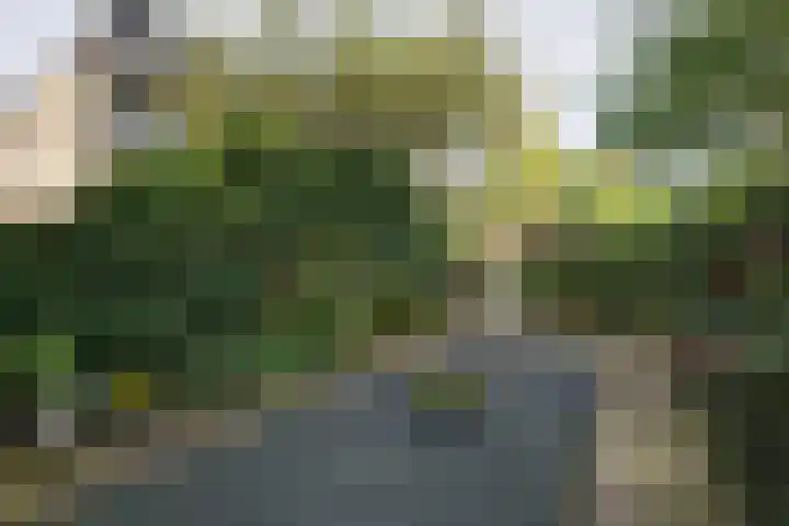 Lepelaarstraat 12 Velp thumbnail 10