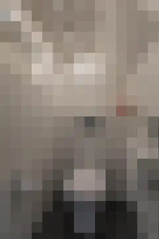 Lepelaarstraat 12 Velp thumbnail 13
