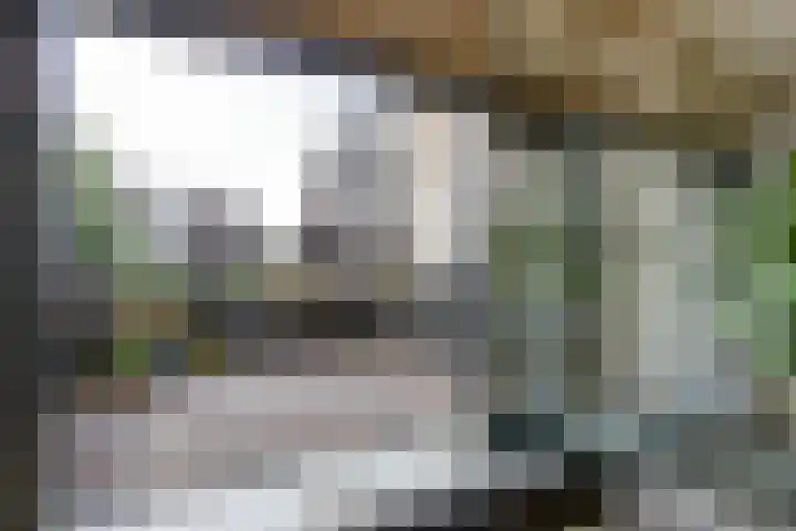 Lepelaarstraat 12 Velp thumbnail 16