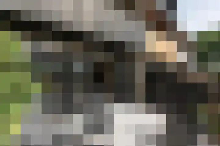 Lepelaarstraat 12 Velp thumbnail 17