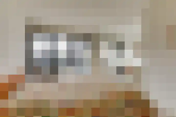 Lepelaarstraat 12 Velp thumbnail 26