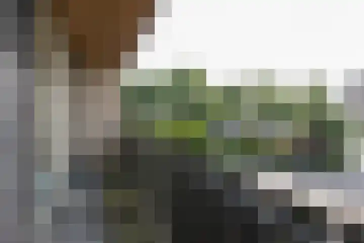 Lepelaarstraat 12 Velp thumbnail 27
