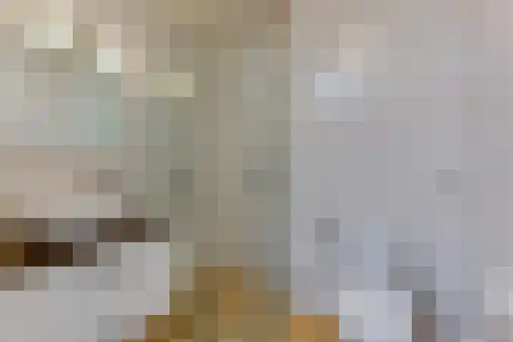 Lepelaarstraat 12 Velp thumbnail 30