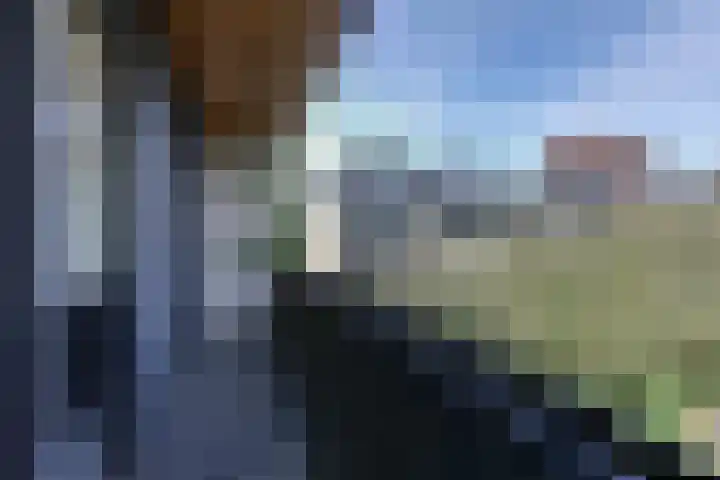Lepelaarstraat 12 Velp thumbnail 35
