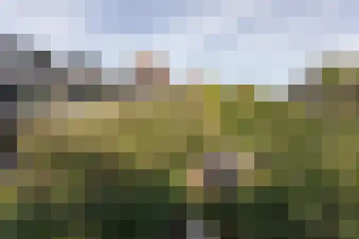 Lepelaarstraat 12 Velp thumbnail 36