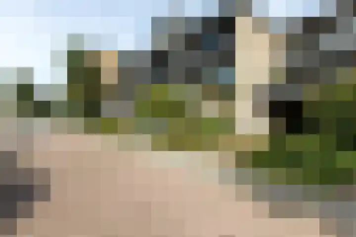 Lepelaarstraat 12 Velp thumbnail 38
