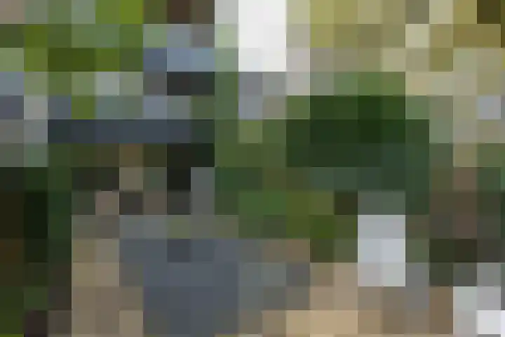 Lepelaarstraat 12 Velp thumbnail 4