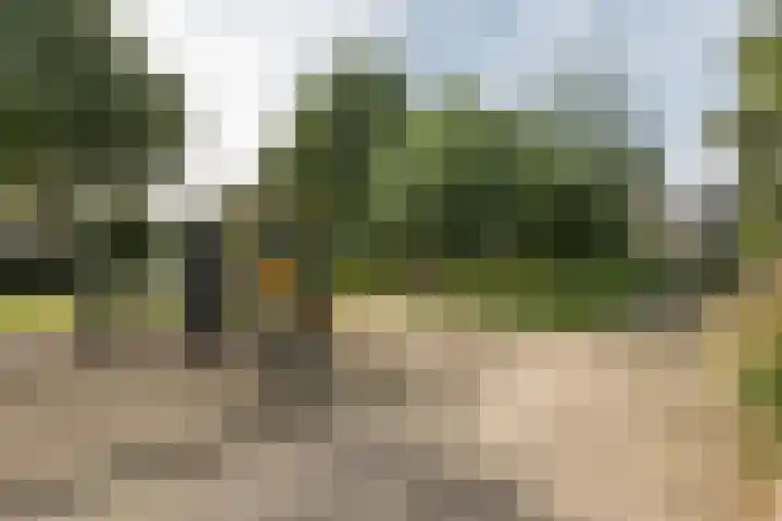 Lepelaarstraat 12 Velp thumbnail 40