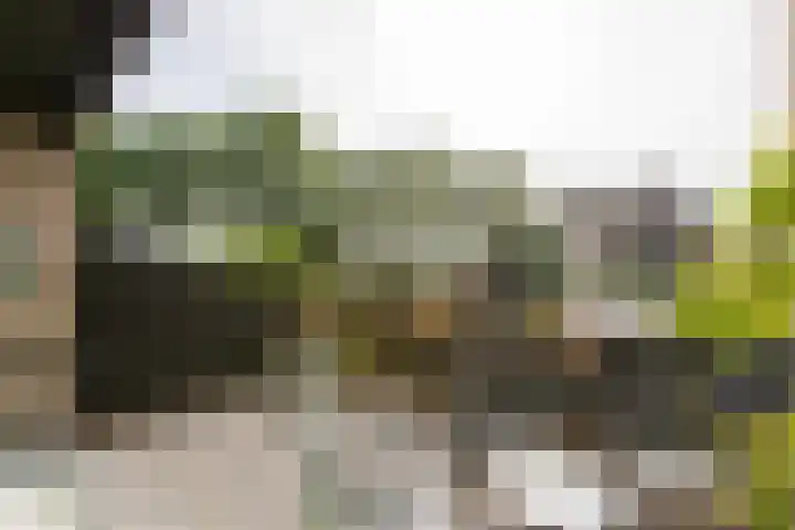 Lepelaarstraat 12 Velp thumbnail 5