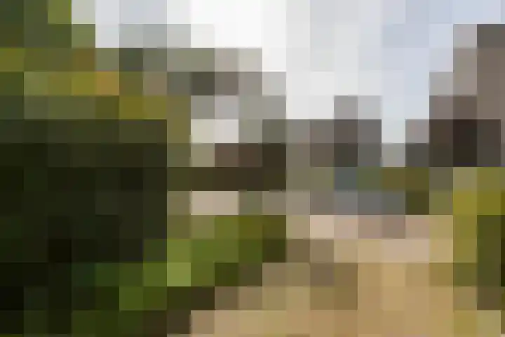 Lepelaarstraat 12 Velp thumbnail 6