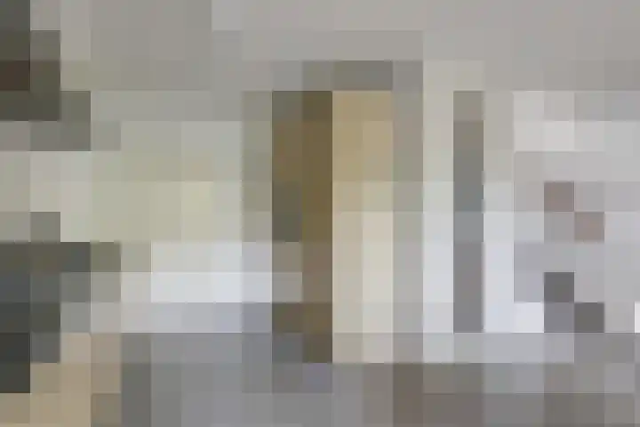 Lepelaarstraat 12 Velp thumbnail 8