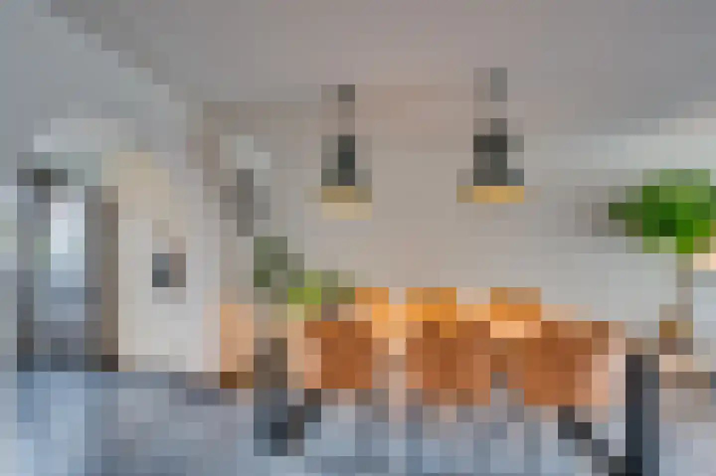 Lepelaarstraat 17 Velden thumbnail 12