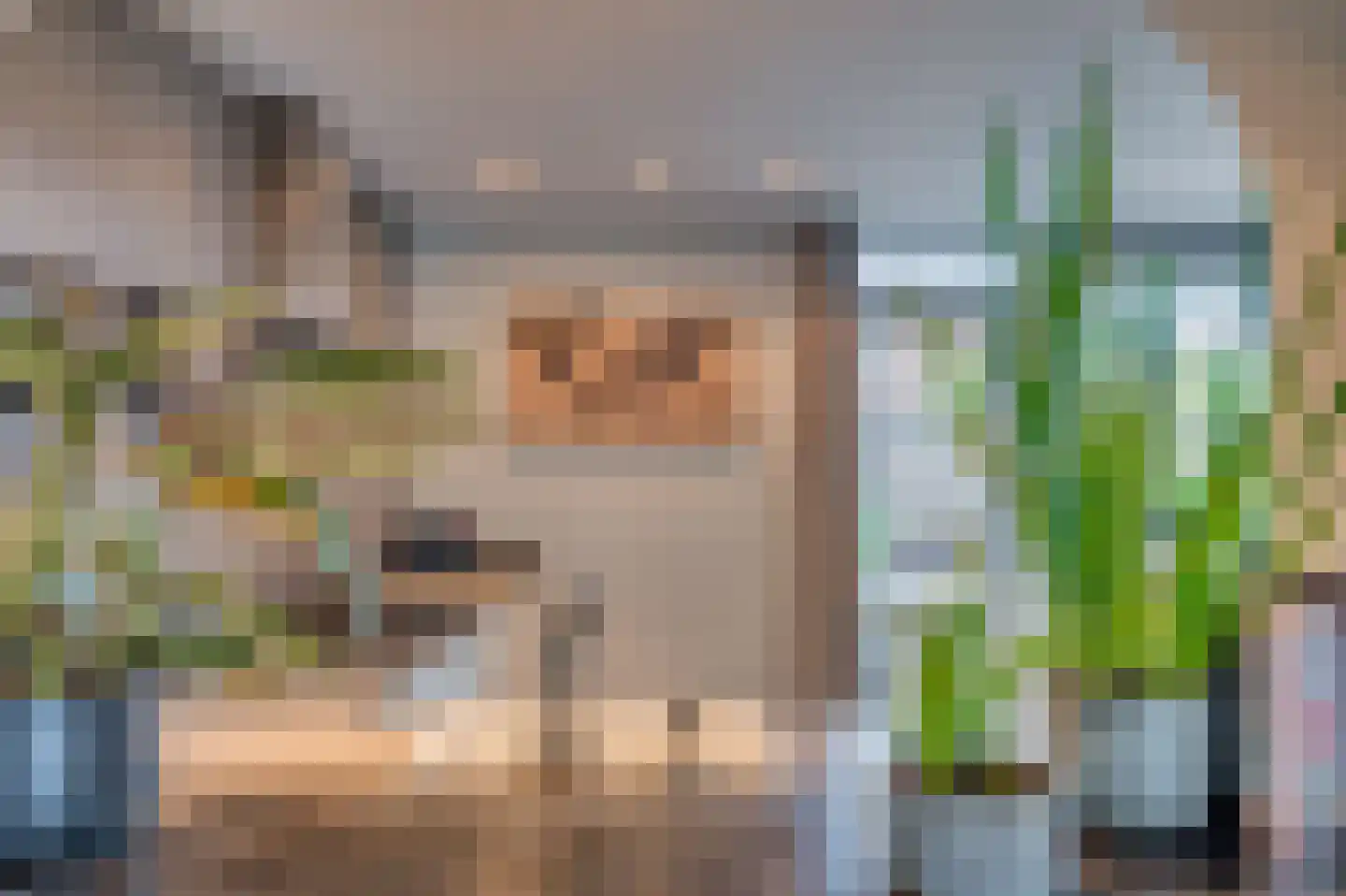 Lepelaarstraat 17 Velden thumbnail 15