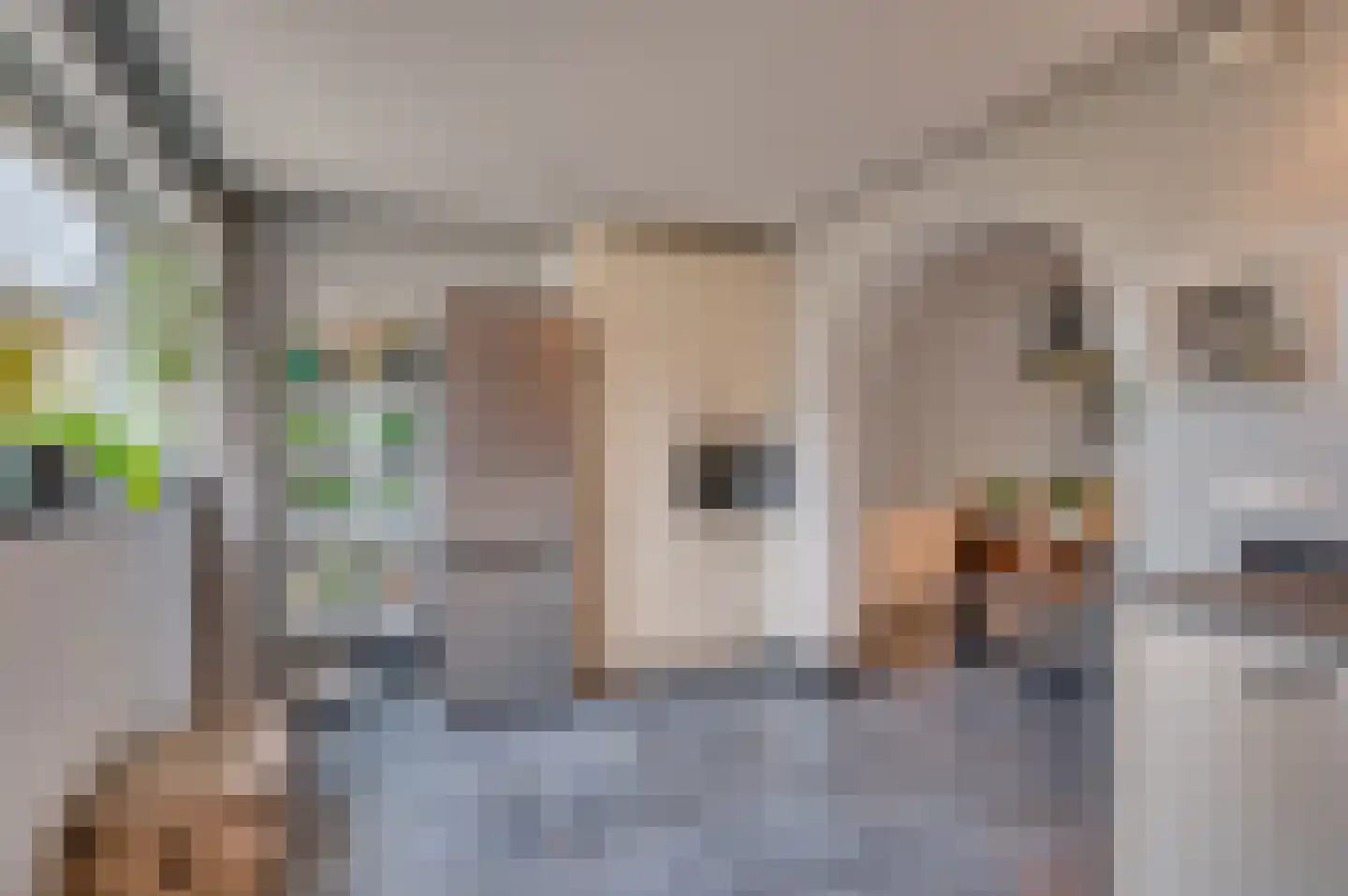 Lepelaarstraat 17 Velden thumbnail 19