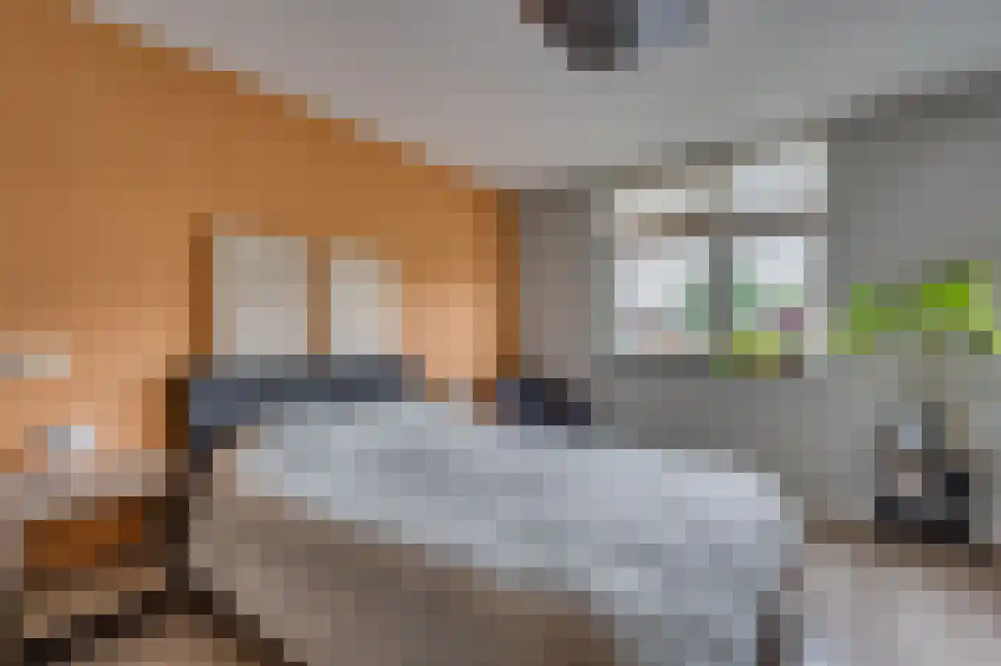 Lepelaarstraat 17 Velden thumbnail 23
