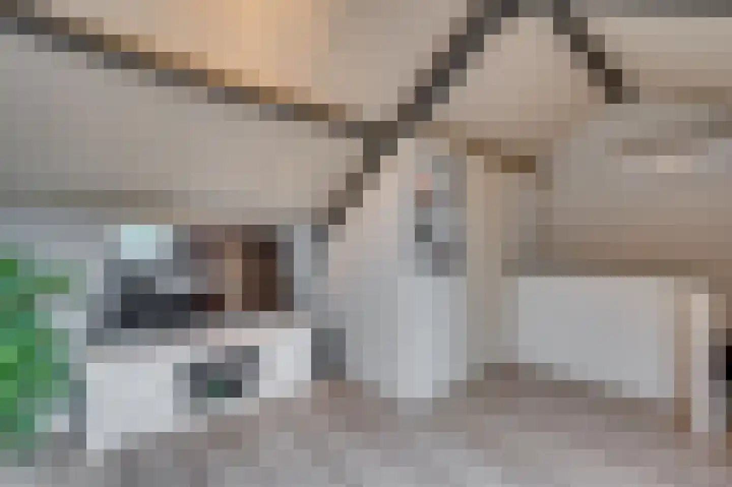 Lepelaarstraat 17 Velden thumbnail 38