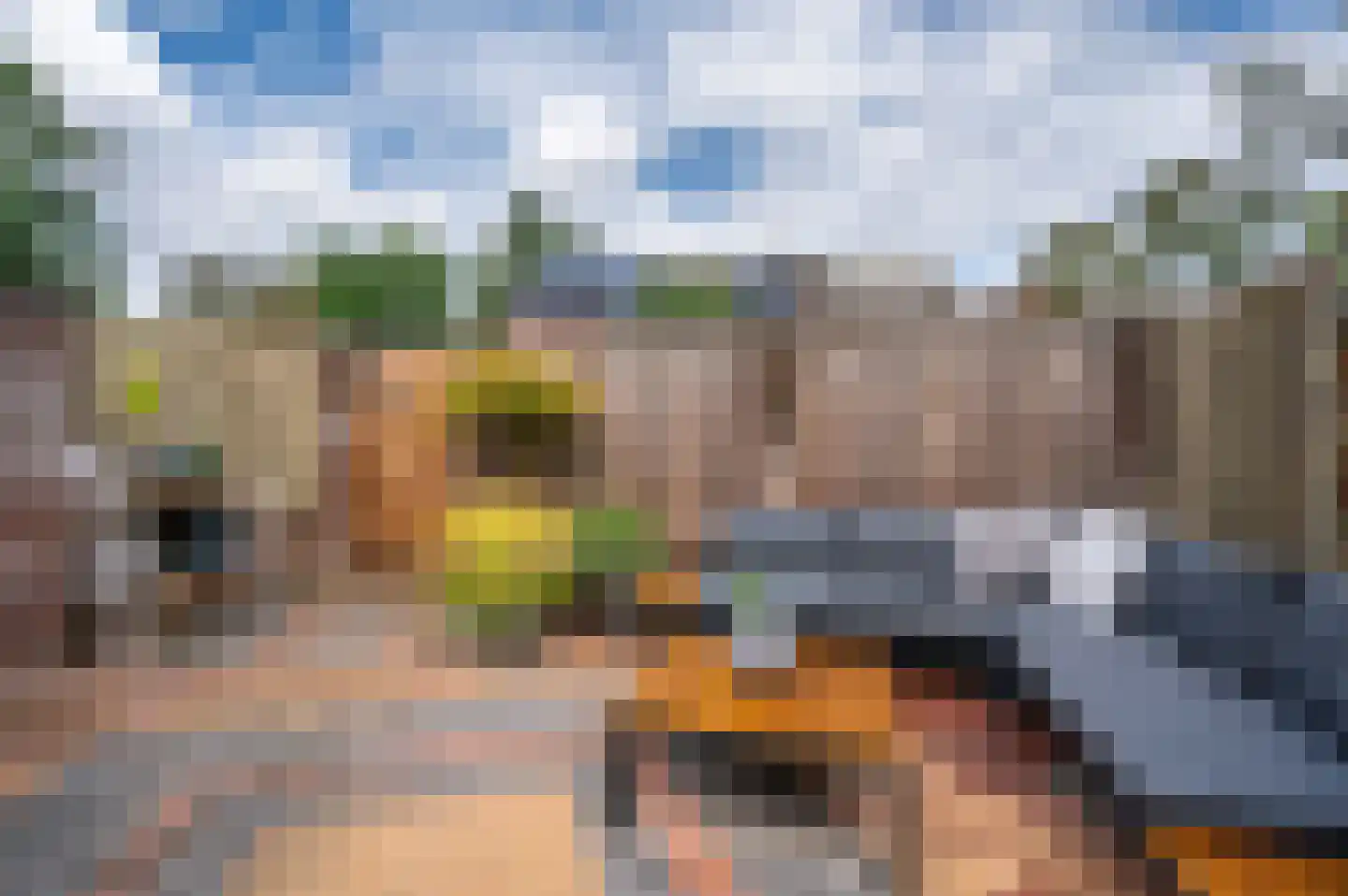 Lepelaarstraat 17 Velden thumbnail 41