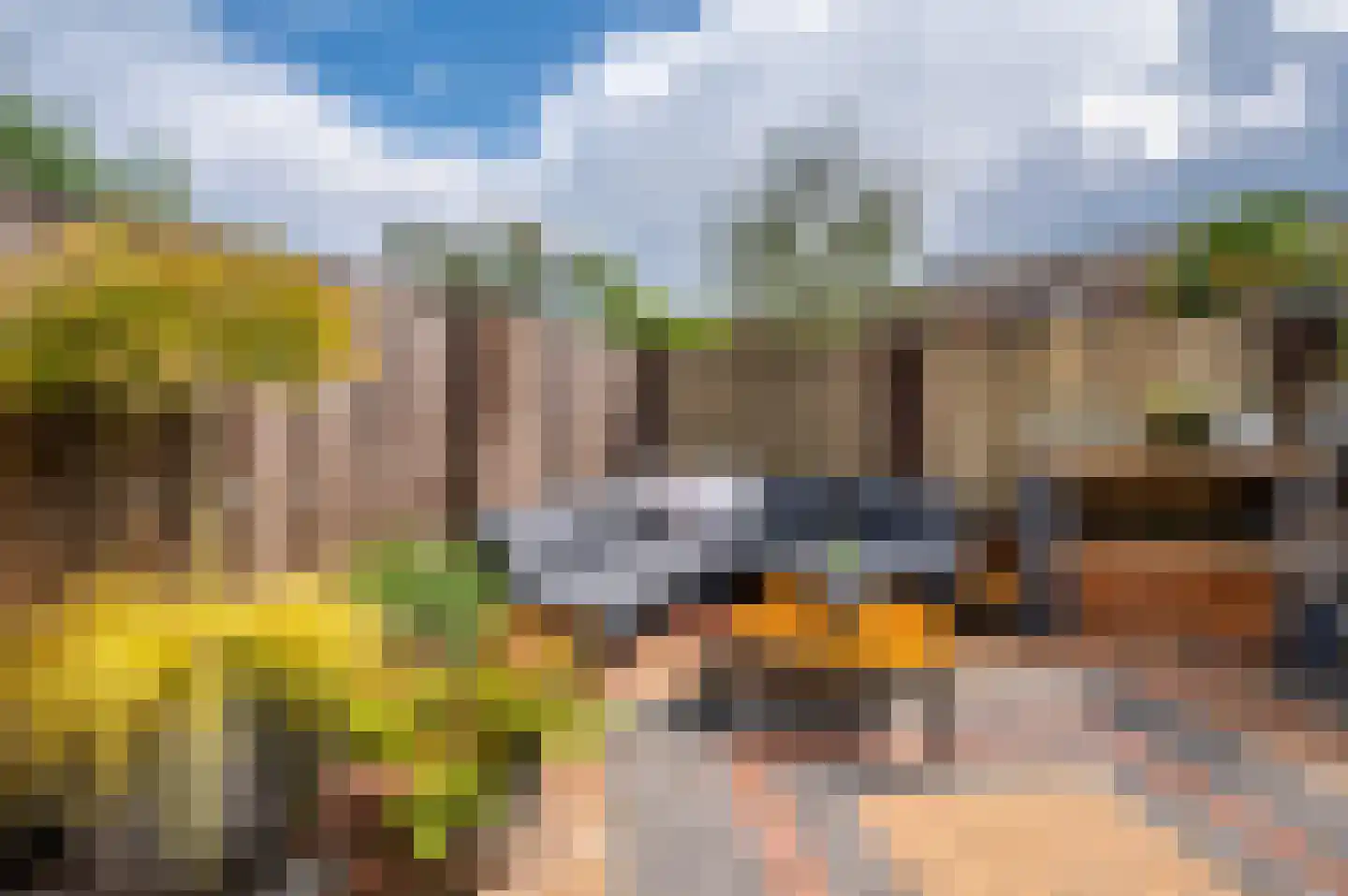 Lepelaarstraat 17 Velden thumbnail 42