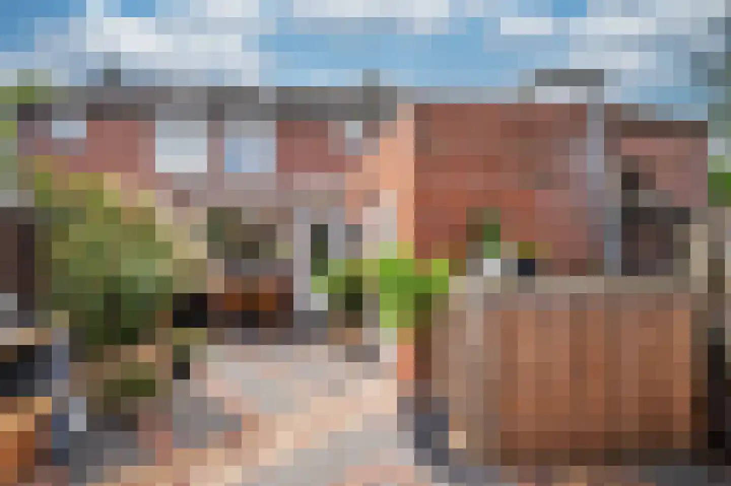 Lepelaarstraat 17 Velden thumbnail 43