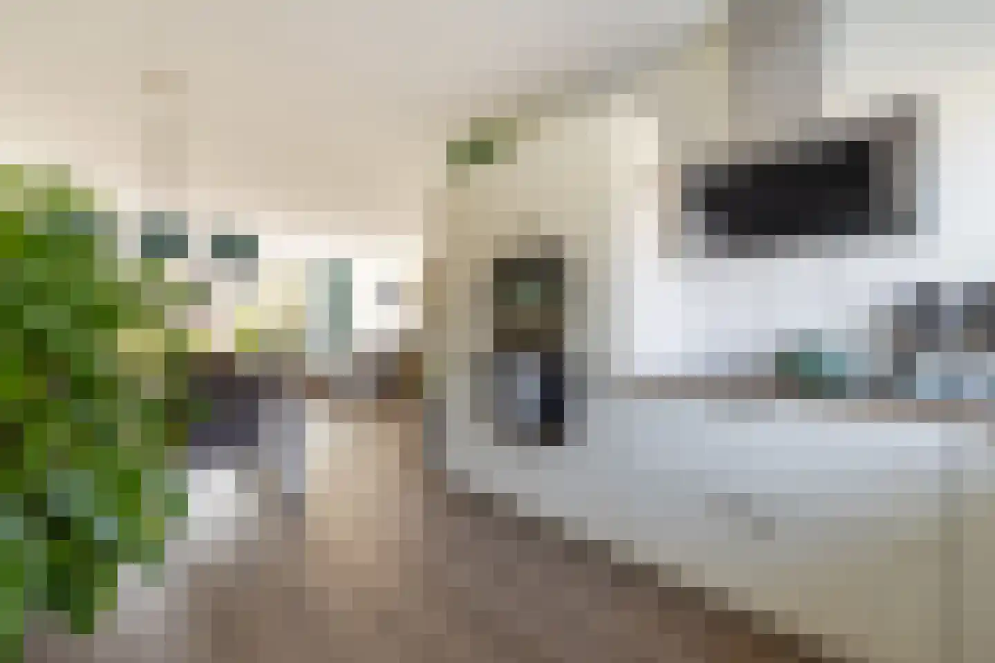 Lepelaarstraat 2 D Ilpendam thumbnail 15