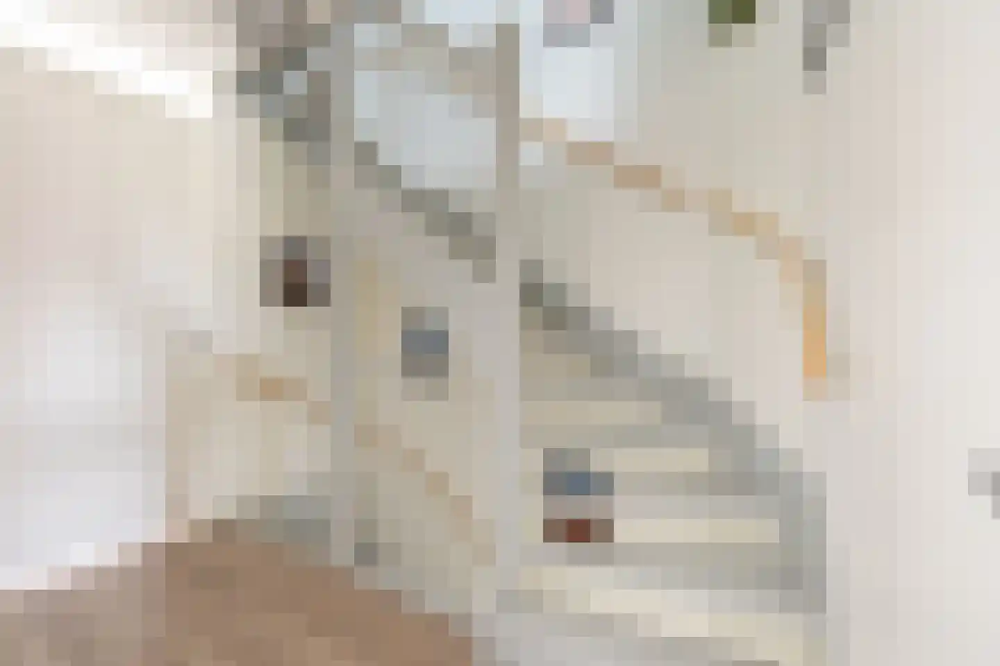 Lepelaarstraat 2 D Ilpendam thumbnail 25
