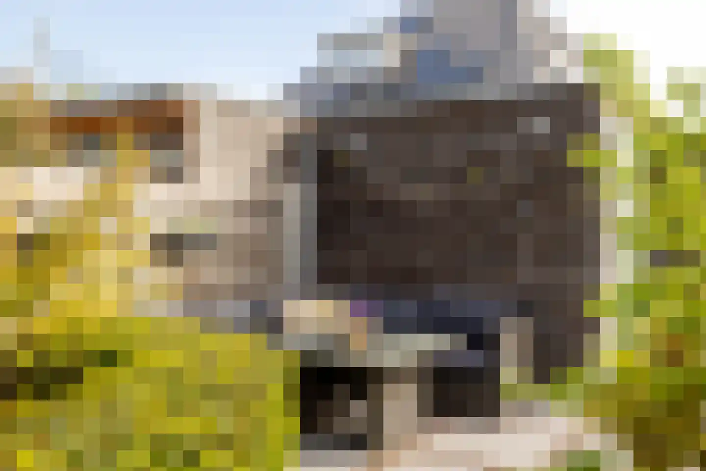 Lepelaarstraat 2 D Ilpendam thumbnail 30