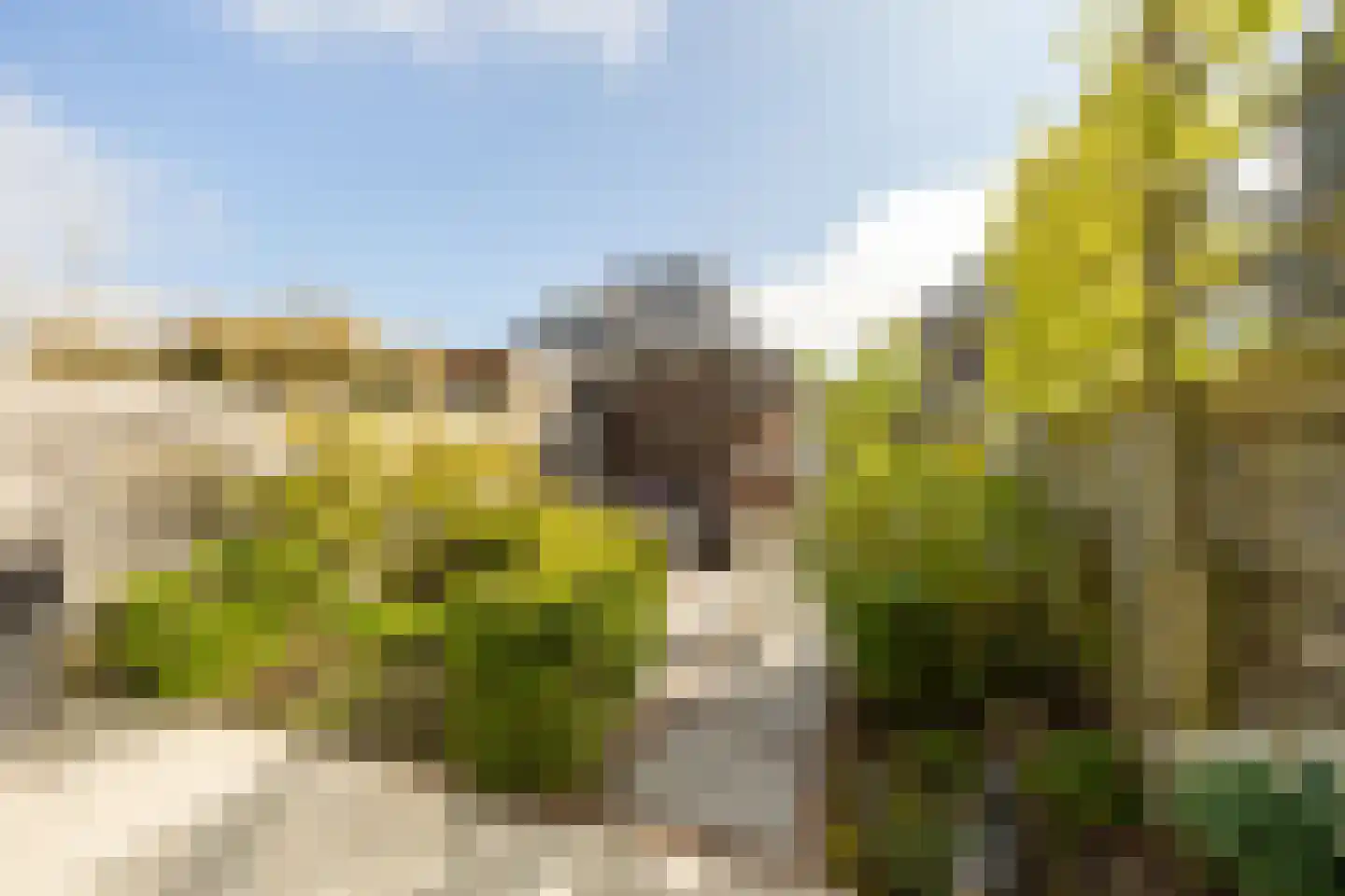 Lepelaarstraat 2 D Ilpendam thumbnail 31