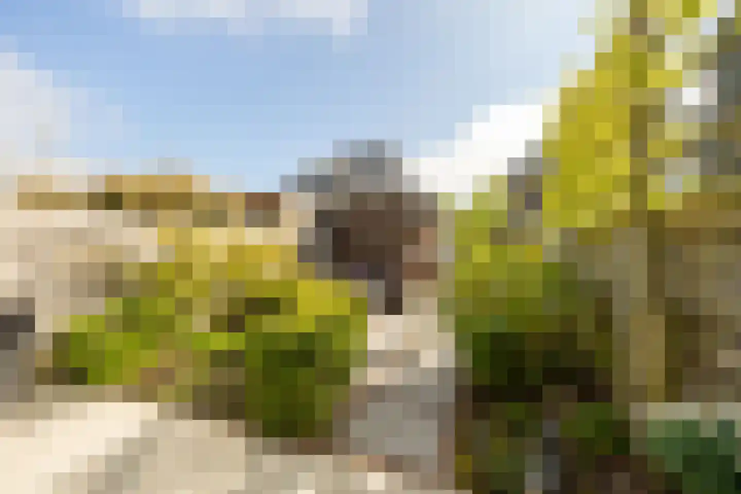 Lepelaarstraat 2 D Ilpendam thumbnail 31