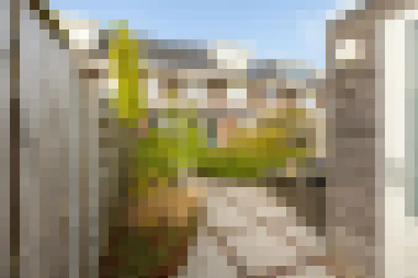 Lepelaarstraat 2 D Ilpendam thumbnail 32