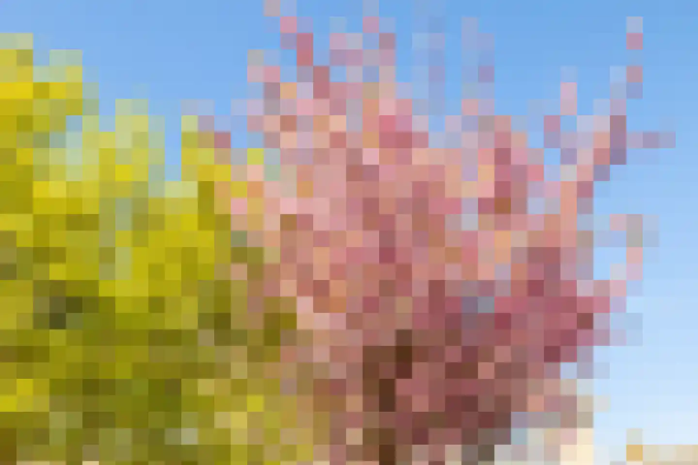 Lepelaarstraat 2 D Ilpendam thumbnail 34