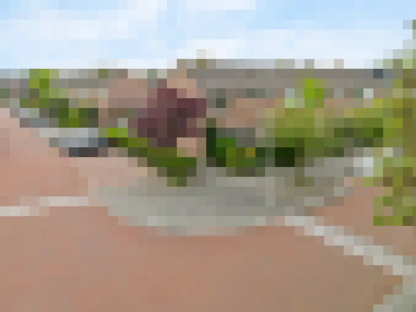 Lepelaarstraat 2 Naarden thumbnail 26