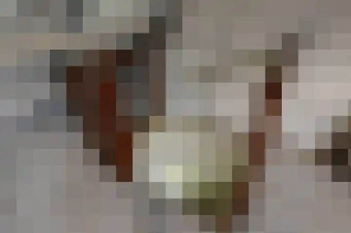 Lepelaarstraat 20 Westzaan thumbnail 8