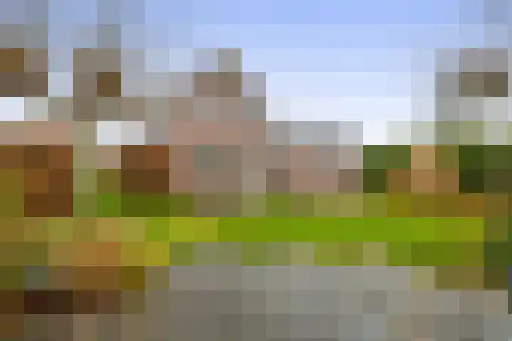 Lepelaarstraat 23 't Zand thumbnail 19