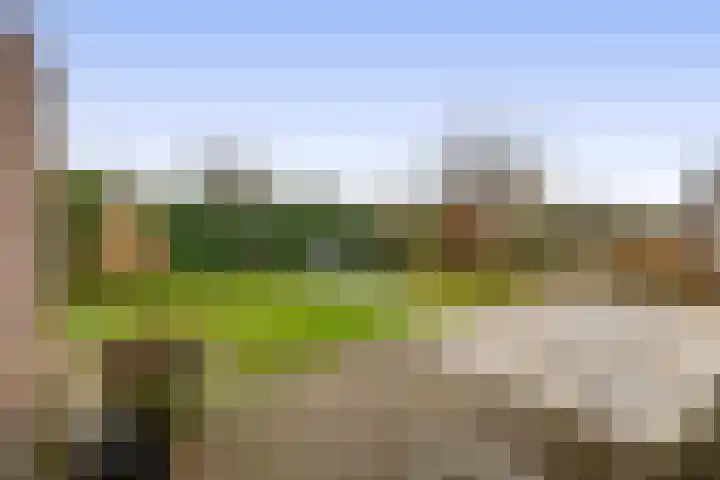 Lepelaarstraat 23 't Zand thumbnail 20