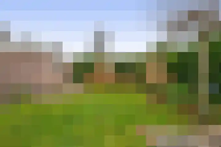 Lepelaarstraat 23 't Zand thumbnail 21