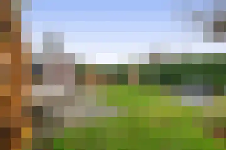 Lepelaarstraat 23 't Zand thumbnail 22
