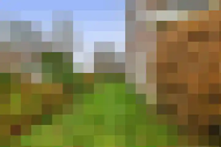 Lepelaarstraat 23 't Zand thumbnail 23