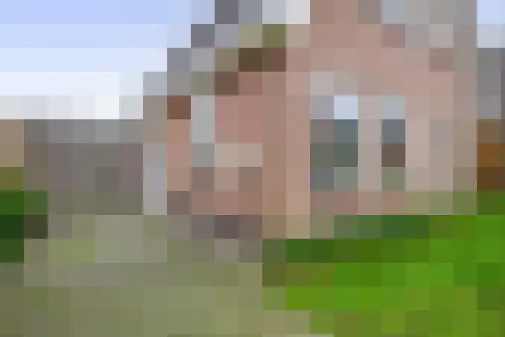 Lepelaarstraat 23 't Zand thumbnail 24