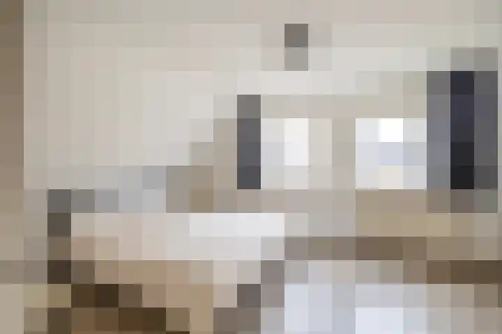 Lepelaarstraat 23 't Zand thumbnail 27