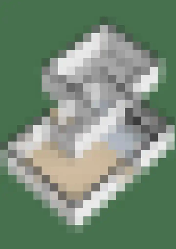 Lepelaarstraat 23 't Zand thumbnail 34