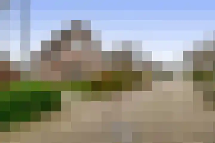 Lepelaarstraat 23 't Zand thumbnail 4